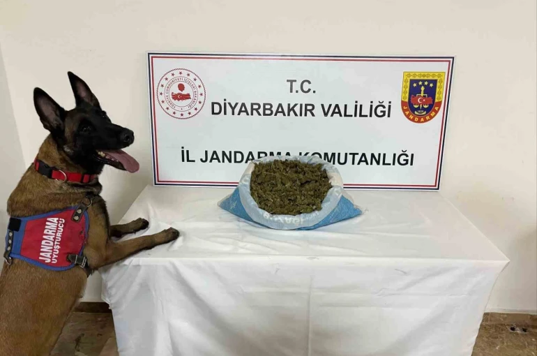 Diyarbakır’da 23 kilo esrar ele geçirildi