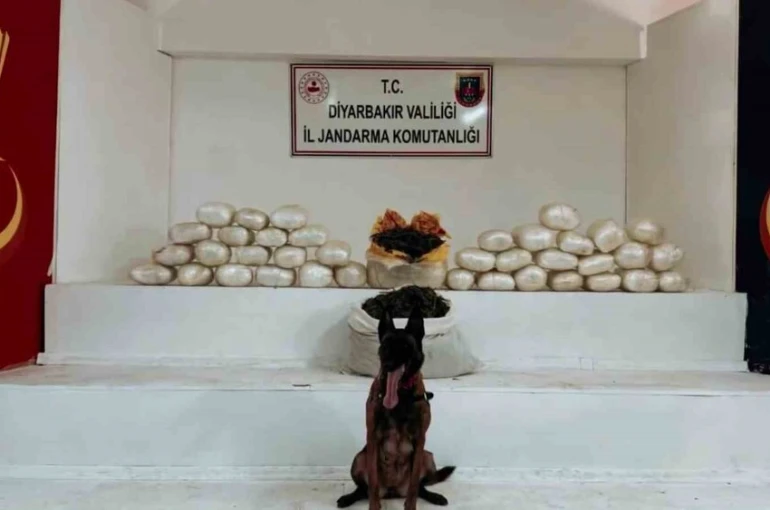 Diyarbakır’da 470 kilo skunk ve 85 kilo esrar ele geçirildi 