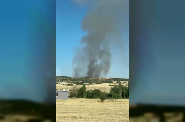 Diyarbakır’da ağaçlık alanda yangın
