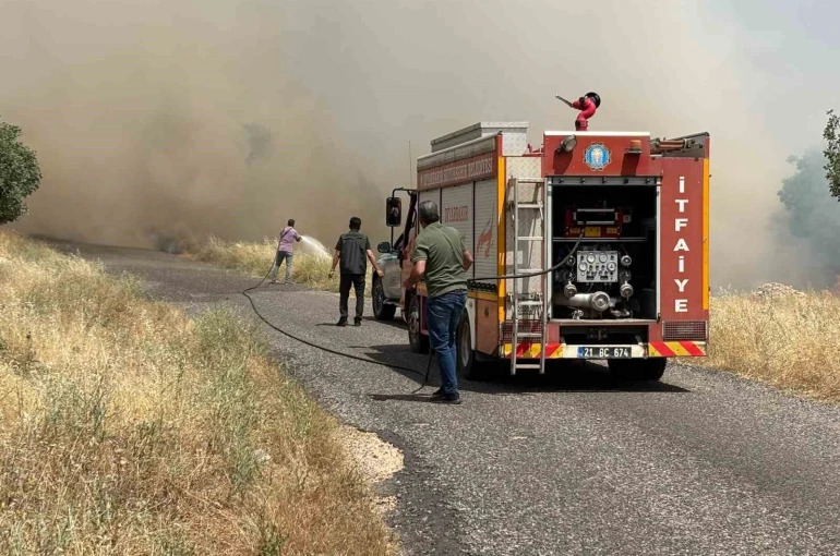 Diyarbakır’da ekili arazide yangın: Yüzlerce dönüm buğday tarlası kül oldu