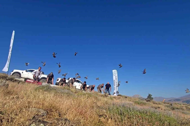 Diyarbakır’da keneye karşı doğal mücadele 