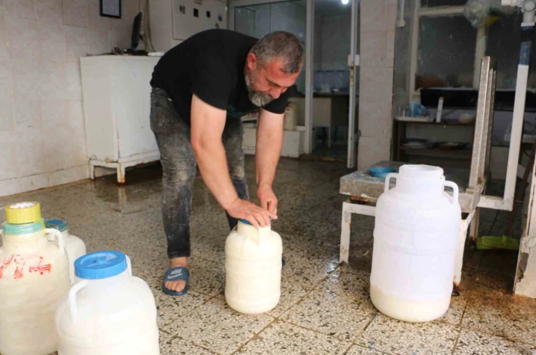 Diyarbakır’da kışlık peynir mesaisi başladı