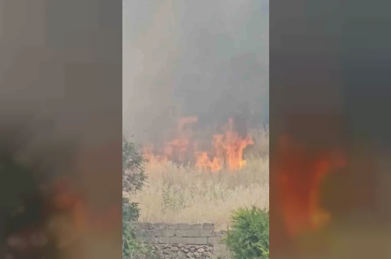 Diyarbakır’da yerleşim alanında çıkan yangın paniğe neden oldu