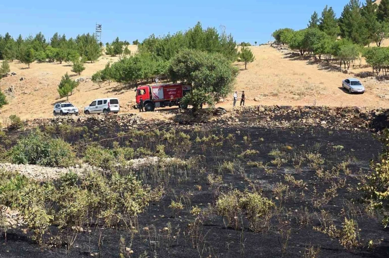 Diyarbakır’da yüksek gerilim hattına çarpan kuş yangına neden oldu