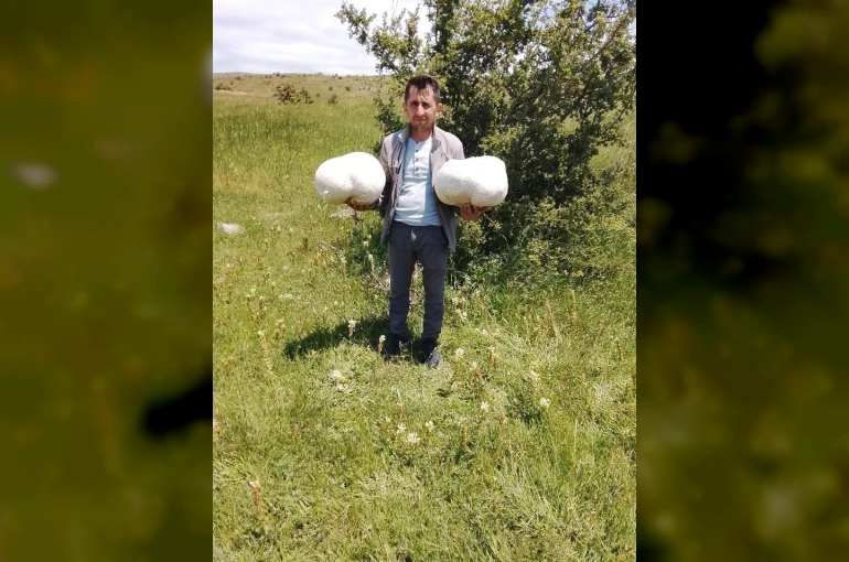 Doğada 20 kiloluk mantar buldu