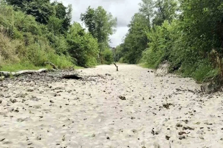 Doğaseverlerin kuruyan gözdesi suya tekrar kavuştu