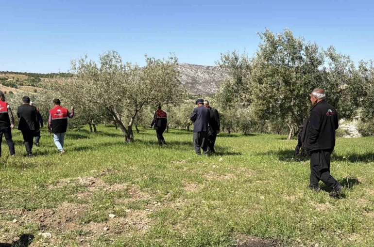 Dolu sonrası hasar tespit çalışmaları başladı