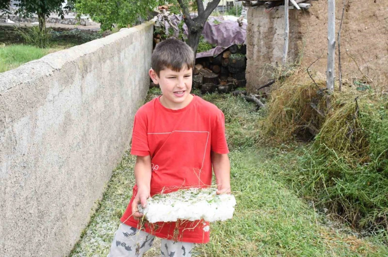 Dolu ve sel vurdu, hasada günler kala arpa tarlaları zarar gördü