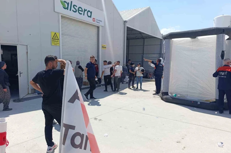 Domates serasında zehirlenenlerin sayısı 33’e yükseldi