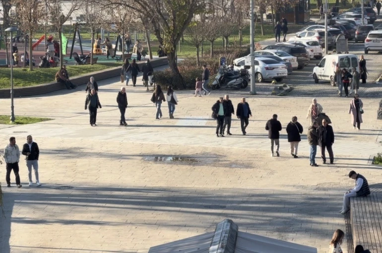 Domuz gribi vakalarında artış