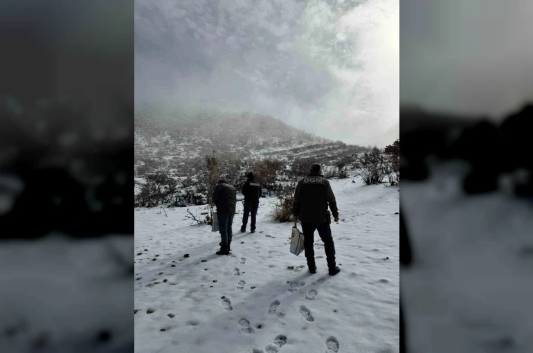 Dondurucu soğuklarda yaban hayata umut oldular