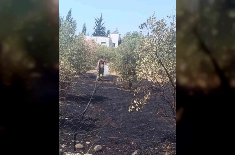 Dörtyol’da bahçe yangını kontrol altına alındı 