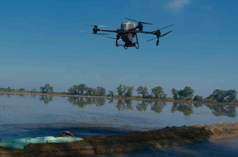 Dron ile çeltik ekimi