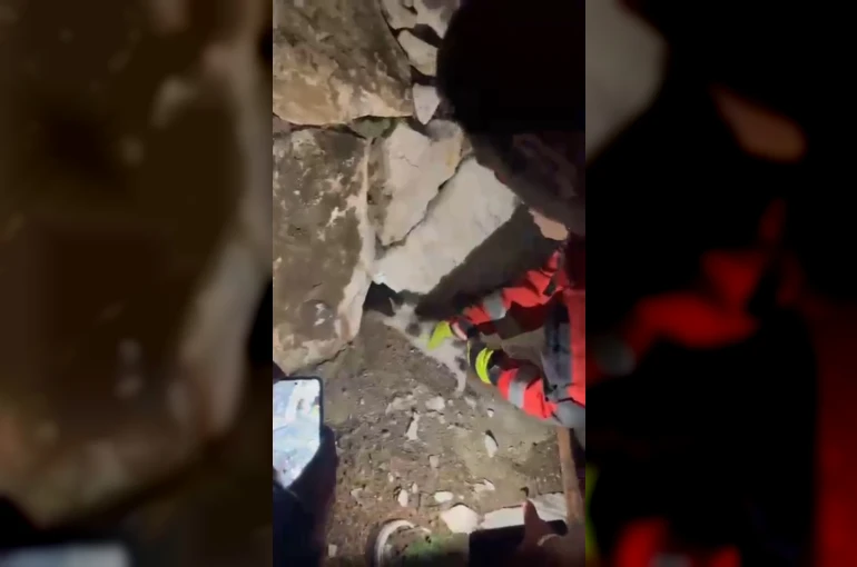 Duvara sıkışan kediyi itfaiye kurtardı