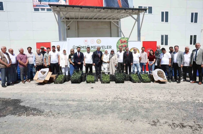 Düzce çiftçisine fide ve damla sulama sistemi desteği