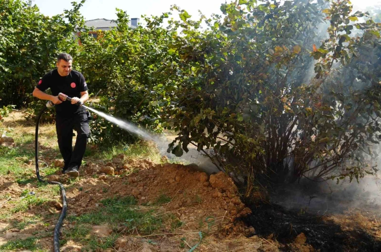Düzce İtfaiyesi 3 ayda 300 anız yangınına müdahale etti 