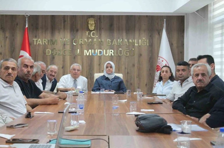 Düzce’de fındık rekolte tahmin çalışmaları değerlendirildi