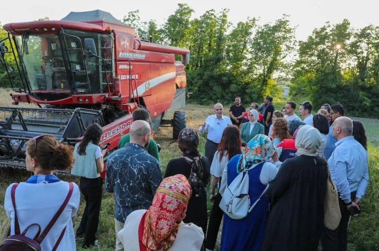 Düzce’de ilk kez yetişen siyez buğdayının hasadı yapıldı