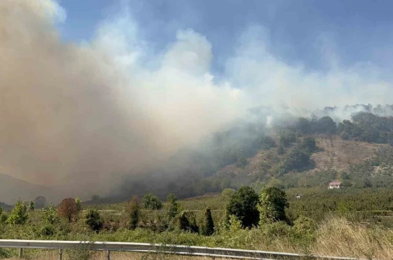 Düzce’de orman yangını 5. saatinde