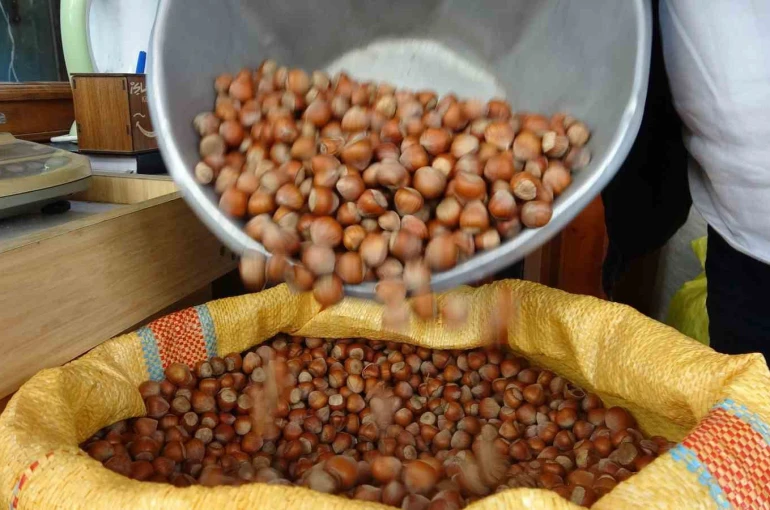 Düzce’den AB ülkelerine 4 bin 452 ton fındık ihraç edildi