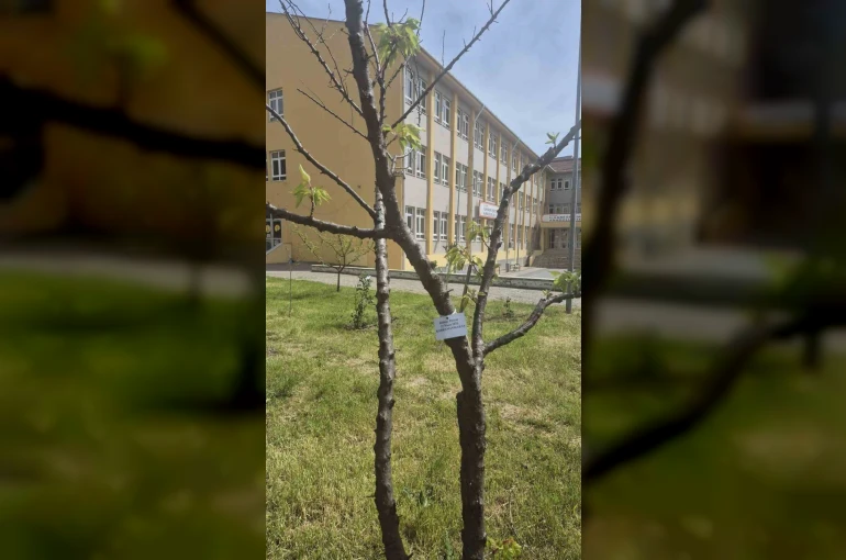 Edirne İlhami Ertem Anadolu Lisesi öğrencilerinden anlamlı etkinlik