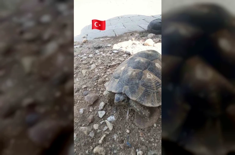 Edirne’de Çevre Haftası’nda gülümseten görüntü