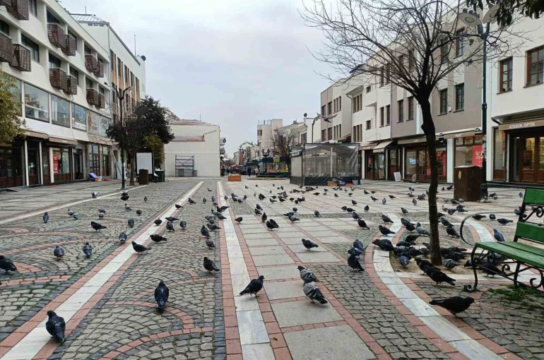 Edirne’de kar gitti, ayaz geldi: Pandemi günlerini aratmayan sessizlik