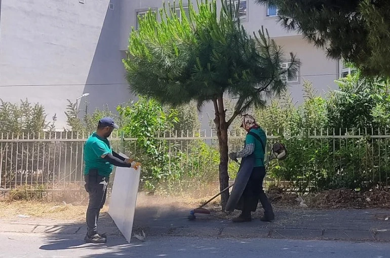 Efeler’in park ve yeşil alanlarında düzenleme çalışmaları sürüyor