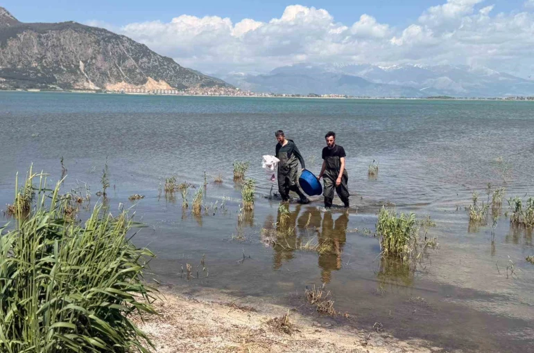 Eğirdir Gölü’nde 100 metrelik yasa dışı ağ ele geçirildi