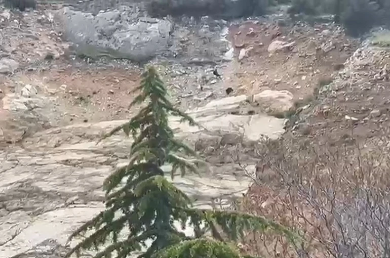 Eğirdir’de tırmandıkları kayalıklarda mahsur kalan çocuklar kurtarıldı