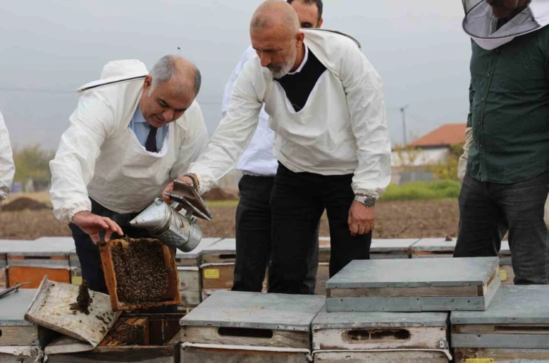 Elazığ arı kovanları incelendi