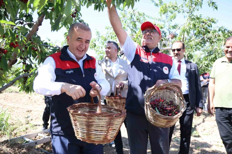 Elazığ’da 7 bin dekar alanda kiraz hasadı devam ediyor