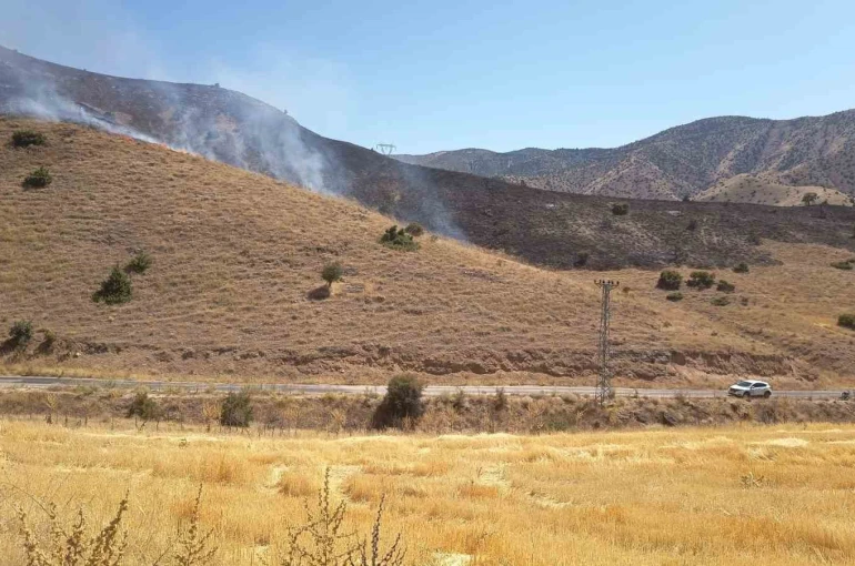 Elazığ’da anız yangını söndürüldü 