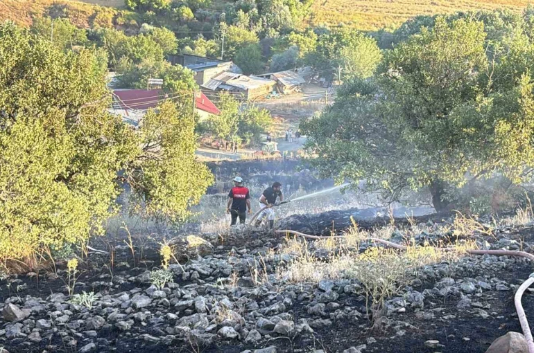 Elazığ’da arazi yangını