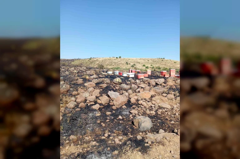 Elazığ’da arazi yangını: Arı kovanları zarar gördü