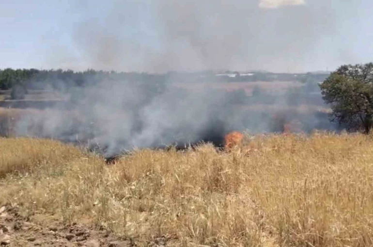 Elazığ’da arazi yangını ekiplerin müdahalesi sürüyor