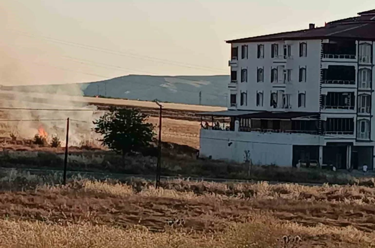 Elazığ’da buğday tarlasında yangın