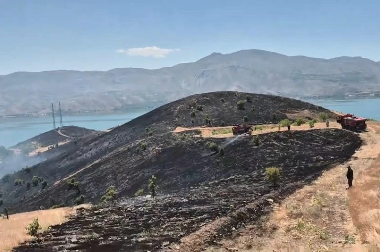 Elazığ’da çıkan arazi yangını söndürüldü