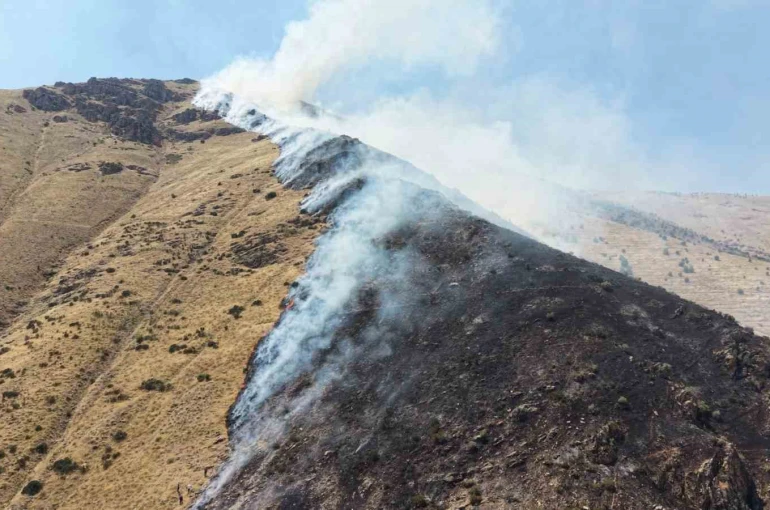 Elazığ’da dağlık alanda çıkan yangında 1 şüpheli gözaltına alındı