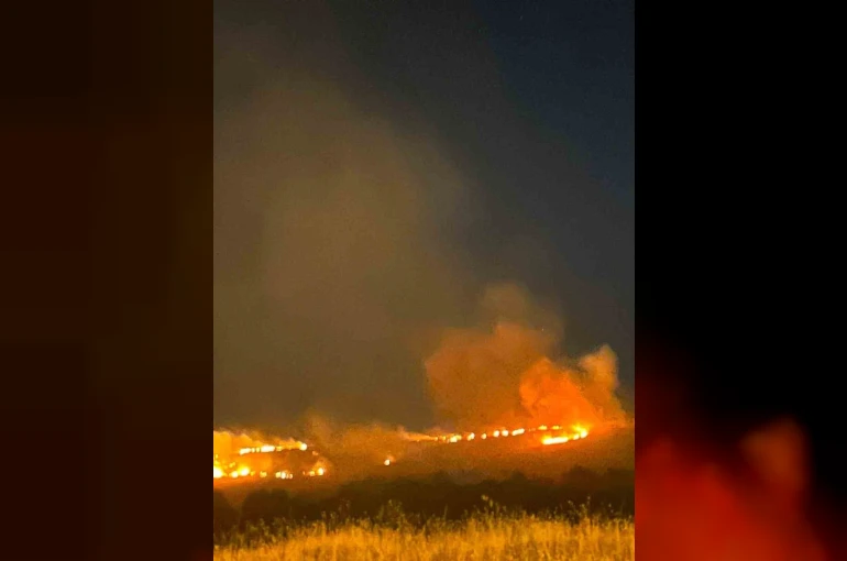 Elazığ’da dağlık alanda yangın paniği