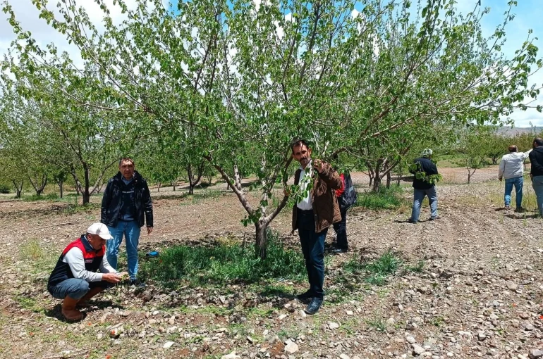 Elazığ’da dolu sonrası hasar tespiti yapıldı