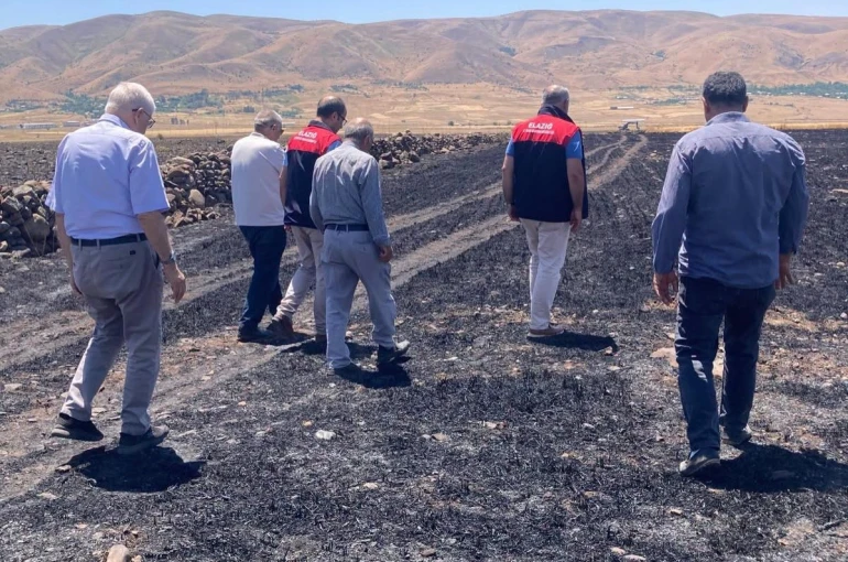 Elazığ’da küle dönen 70 dönümlük ekili alanda hasar tespit çalışmaları