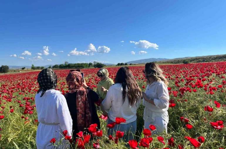 Elazığ’da oluşan doğal gelincik tarlasına vatandaşlar akın etti
