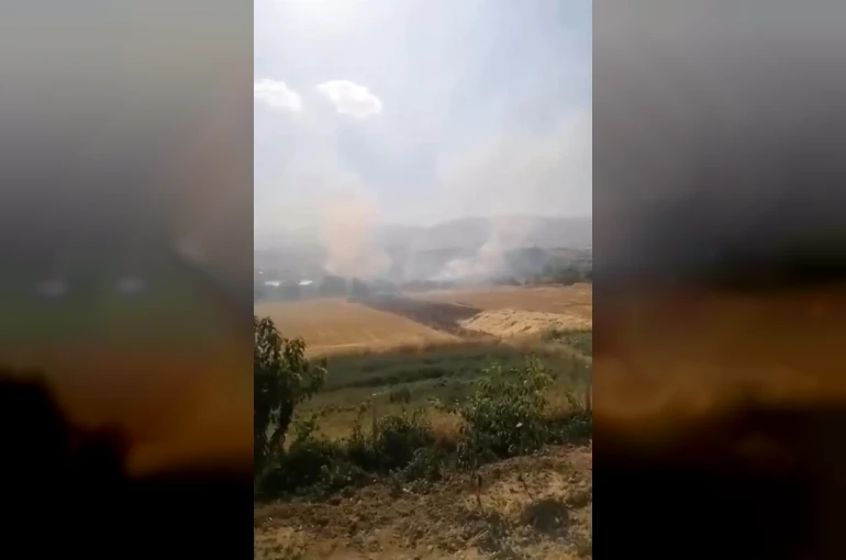 Elazığ’da otluk alanda yangın