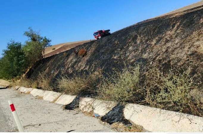 Elazığ’da otluk alanda yangın