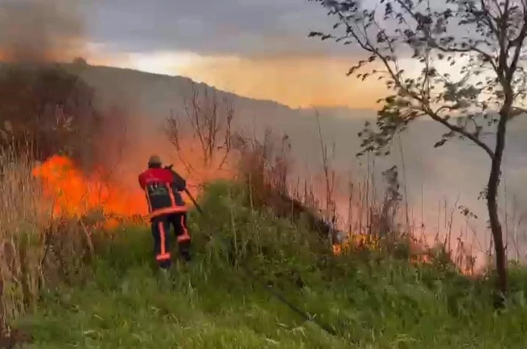 Elazığ’da otluk alanda yangın