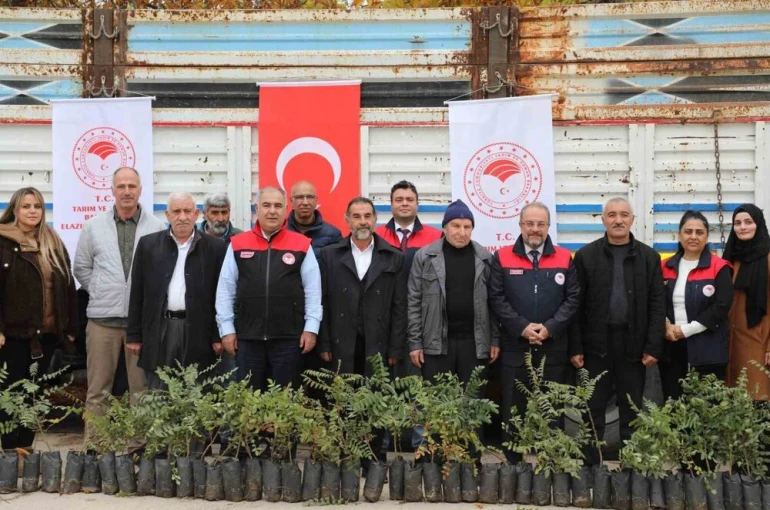 Elazığ’da sumak üretimi artıyor