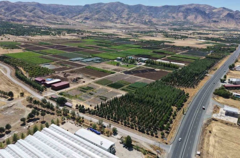 Elazığ’da üretilen milyonlarca fidan, ülkeye nefes oluyor