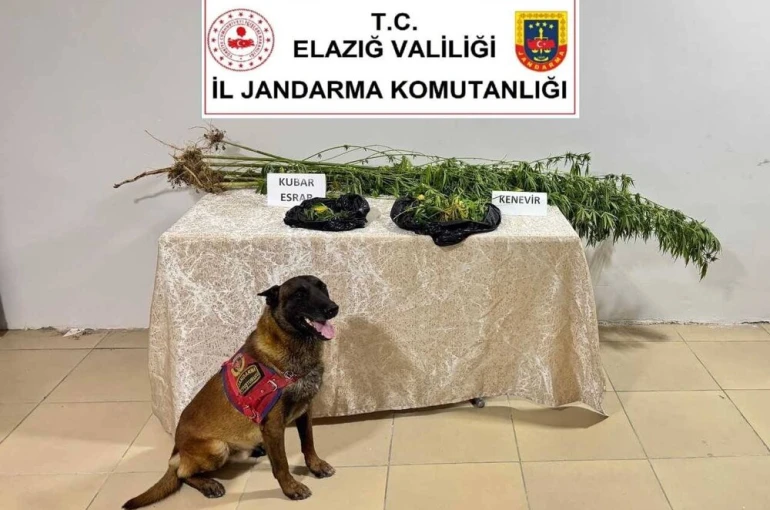 Elazığ’da uyuşturucuyla mücadele