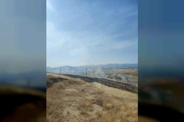 Elazığ’daki yangında 40 dönümlük arpa küle döndü